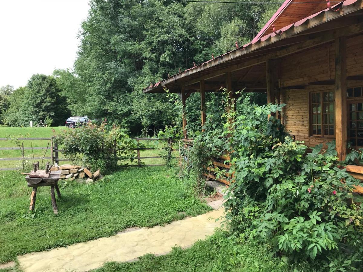 Casutele Doftanei Apartment Teşila Екстериор снимка