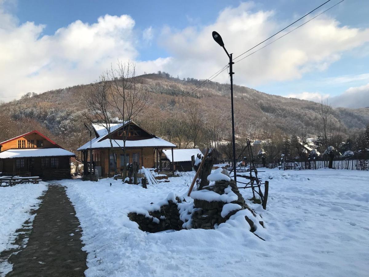 Casutele Doftanei Apartment Teşila Екстериор снимка