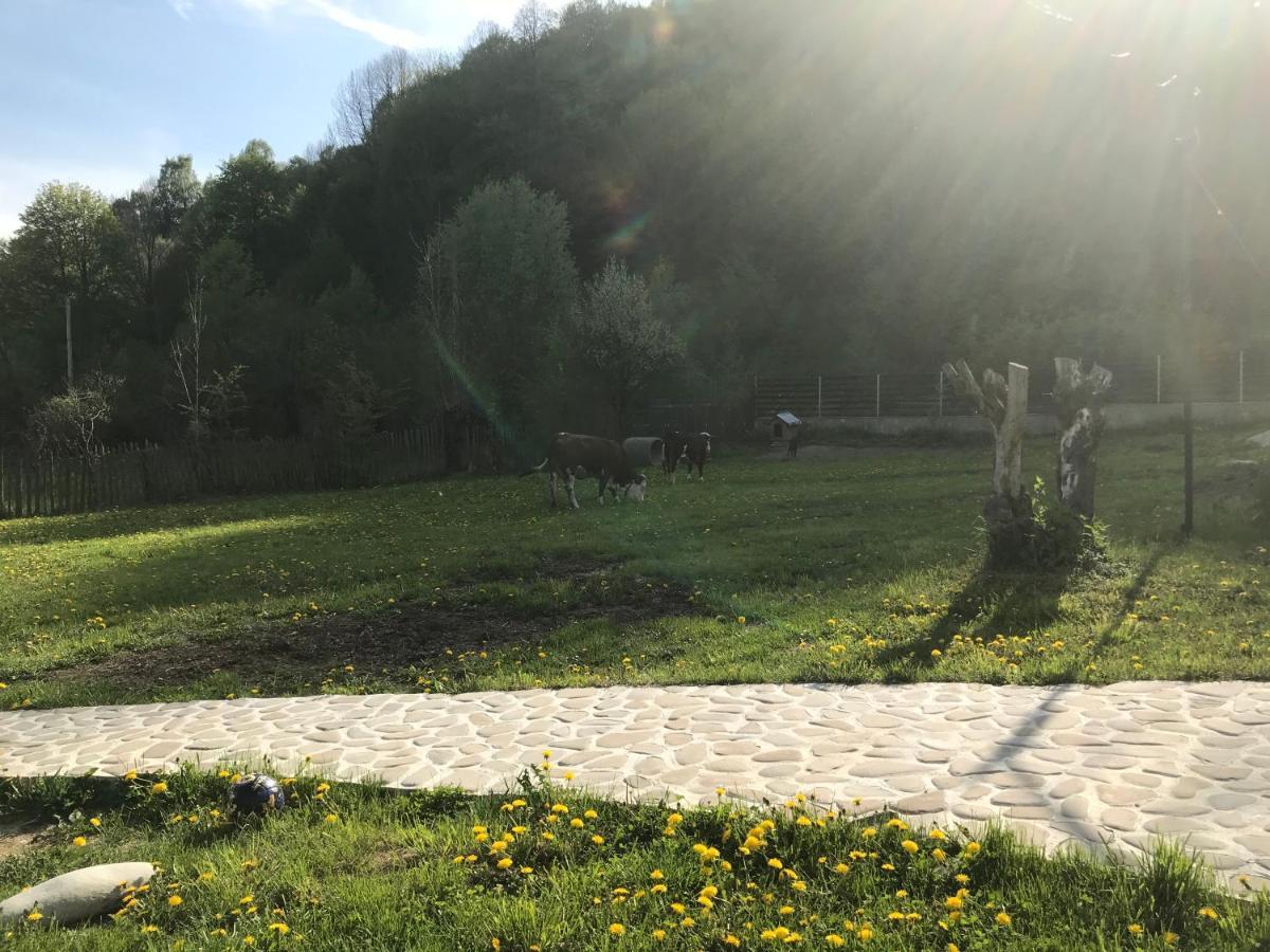 Casutele Doftanei Apartment Teşila Екстериор снимка