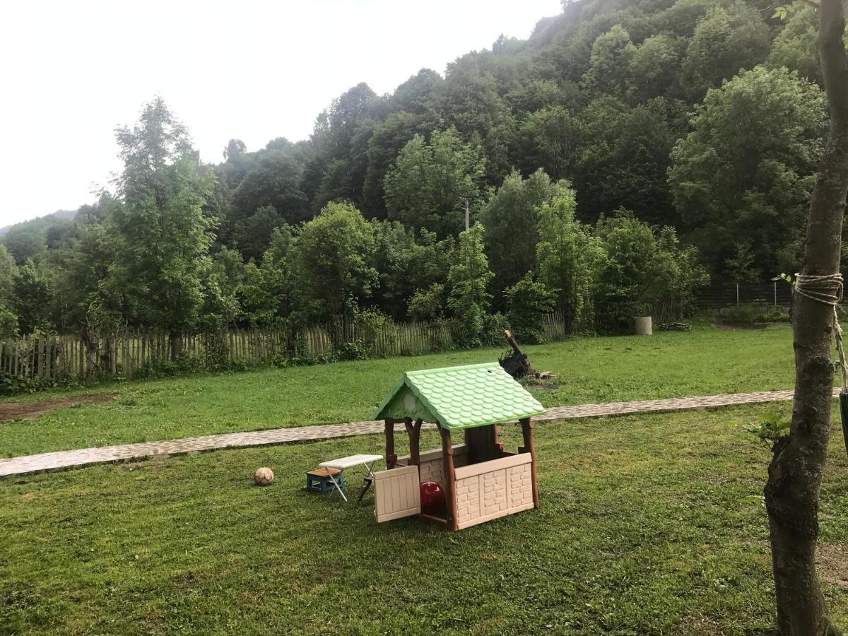 Casutele Doftanei Apartment Teşila Екстериор снимка