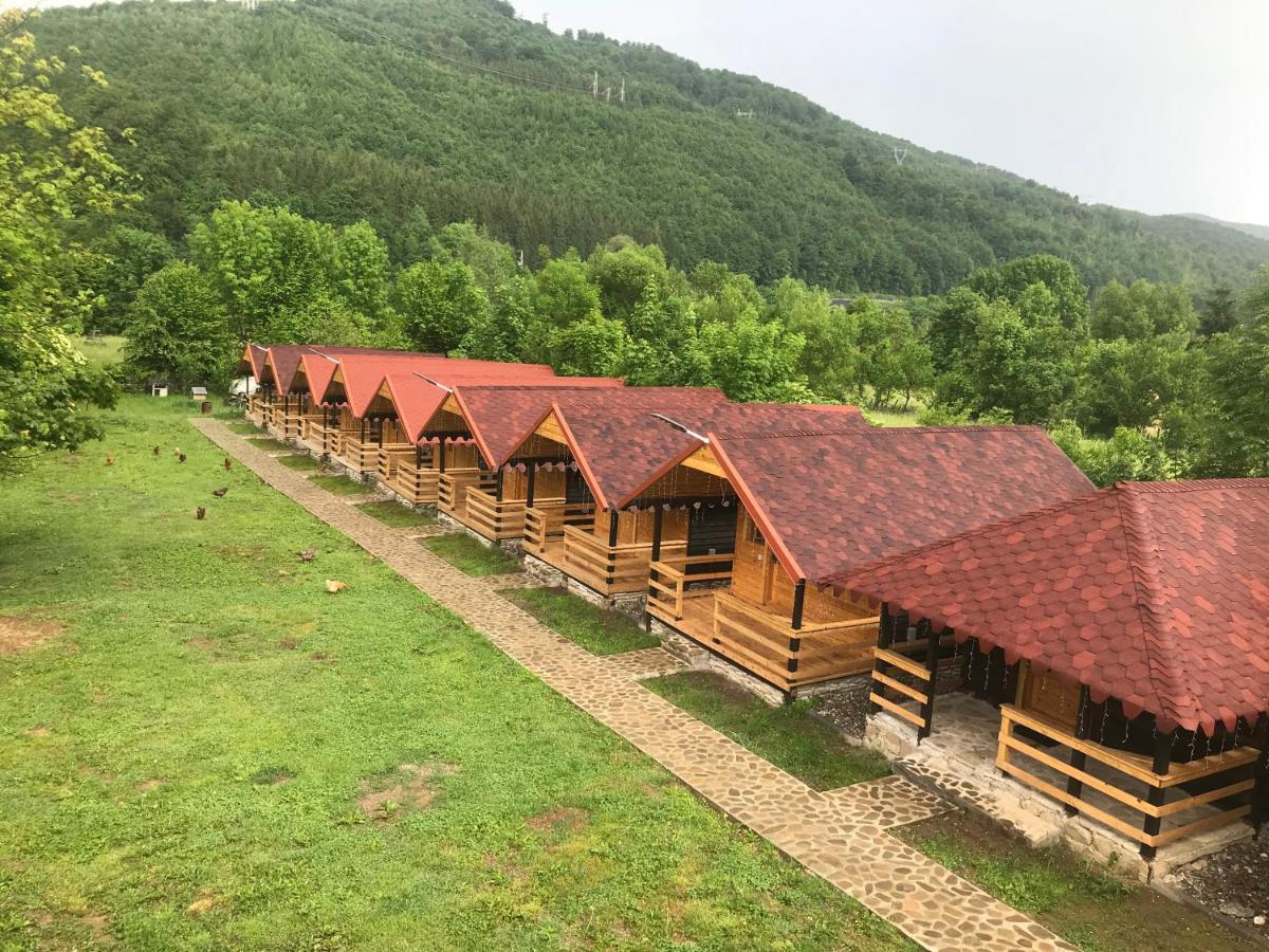 Casutele Doftanei Apartment Teşila Екстериор снимка