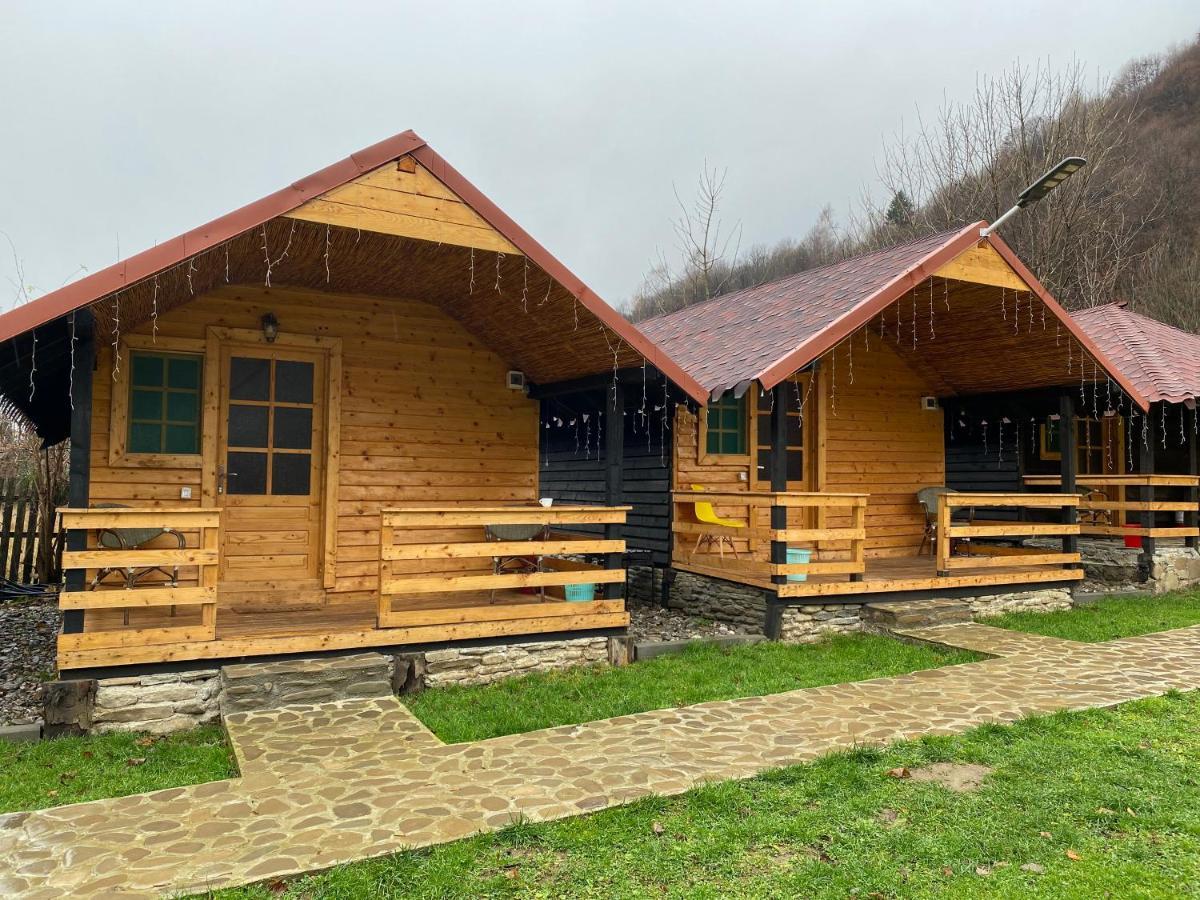 Casutele Doftanei Apartment Teşila Екстериор снимка